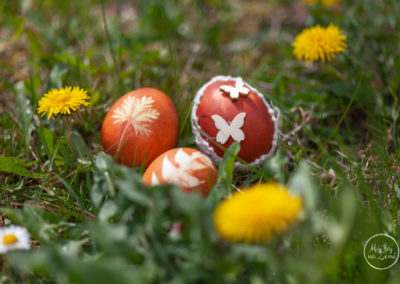 Přírodní barvení vajíček - Velikonoce - Můj ráj na Zemi