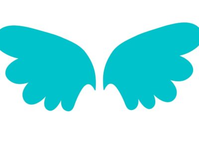 Výroba křídel